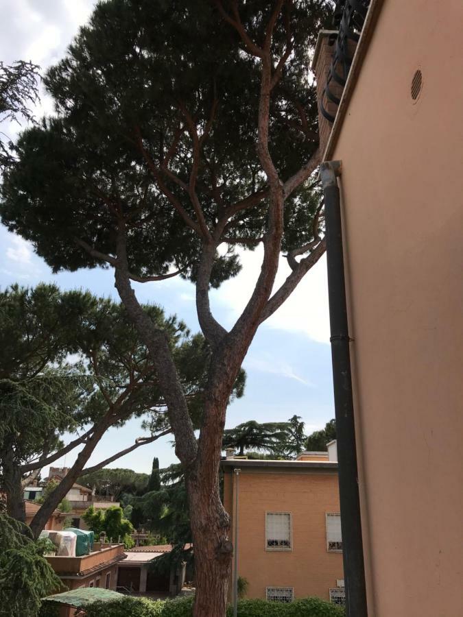 Agli Acquedotti Romani Exterior foto